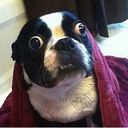 ���������� ��������, ���� ������� ����, 44 ����, ������������ ��� ������, ����� � ���������, c�������� ���������, ���������