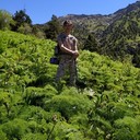 ���������� �������, ���� ������� �������, 45 ���, ������������ ��� ������, ����� � ���������, c�������� ���������