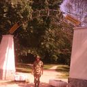 ���������� �����, ���� ������� ����, 31 ���, ������������ ��� ������