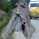 ���������� ������������, ���� ������� ����, 44 ����, ������������ ��� ������, ����� � ���������, c�������� ���������