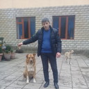  ,   Altay, 44 ,   