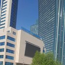 ���������� ������, ���� ������� ����, 41 ���, ������������ ��� ������, ����� � ���������, c�������� ���������