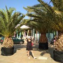  ,   , 56 ,     , c 