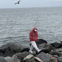  ,   , 29 ,   ,   , c , 