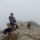 ���������� ������, ���� ������� ��������, 41 ���, ������������ ��� ������, ����� � ���������, c�������� ���������