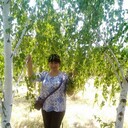  ,   , 53 ,     , c 