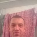  Felino,   , 41 ,   ,   , c 