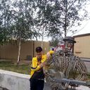 ���������� ������, ���� ������� ����, 46 ���, ������������ ��� ����� � ���������, c�������� ���������