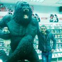 ���������� �����, ���� ������� ˸��, 33 ����, ������������ 