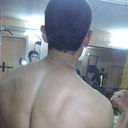  ,   PitBul, 37 ,   ,   , c , 