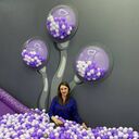 ���������� �����-���������, ���� ������� ��������, 38 ���, ������������ ��� ������, ����� � ���������