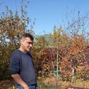 ���������� ��������, ���� ������� �������, 44 ����, ������������ ��� ������, ����� � ���������, c�������� ���������