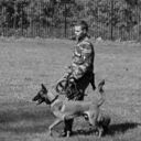 ���������� ������, ���� ������� ���������, 29 ���, ������������ ��� ����� � ���������, c�������� ���������