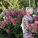 ���������� ���������, ���� ������� Elena, 50 ���, ������������ ��� ������, ����� � ���������, c�������� ���������, ���������