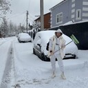 ���������� ������, ���� ������� �������, 55 ���, ������������ ��� ������, ����� � ���������, c�������� ���������, ���������