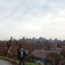 ���������� ���������, ���� ������� �������, 44 ����, ������������ ��� ������, ����� � ���������