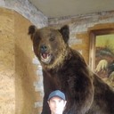 ���������� ������, ���� ������� �����, 46 ���, ������������ ��� ������, ����� � ���������, c�������� ���������