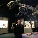 ���������� �����������, ���� ������� ����, 41 ���, ������������ ��� ����� � ���������, c�������� ���������