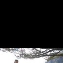 ���������� �����������, ���� ������� ������, 44 ����, ������������ ��� c�������� ���������