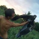 ���������� ���������, ���� ������� ���������, 27 ���, ������������ ��� ������, ����� � ���������