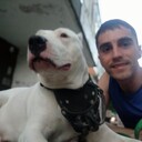 ���������� �����, ���� ������� ������, 33 ����, ������������ ��� ������, ����� � ���������, c�������� ���������