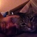 ���������� ������, ���� ������� The, 76 ���, ������������ 