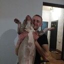 ���������� �����������, ���� ������� ������, 33 ����, ������������ ��� ������, ����� � ���������