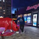 ���������� �������, ���� ������� ������, 41 ���, ������������ ��� ������, ����� � ���������