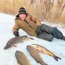 ���������� ���������, ���� ������� ��������, 41 ���, ������������ ��� ������, ����� � ���������