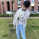 ���������� ������, ���� ������� ����, 27 ���, ������������ ��� ������, ����� � ���������, c�������� ���������, ���������