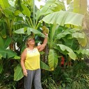  ,   , 72 ,     , c , 