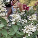  ,   , 50 ,   ,   , 