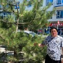 ���������� ���������� �����, ���� ������� ����, 50 ���, ������������ ��� c�������� ���������