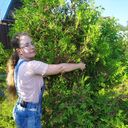 ���������� ������, ���� ������� ���, 27 ���, ������������ ��� ������, ����� � ���������