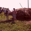 ���������� ������, ���� ������� Morder008, 47 ���, ������������ ��� ������, ����� � ���������, c�������� ���������