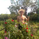 ���������� ��������, ���� ������� �������, 46 ���, ������������ ��� ����� � ���������, c�������� ���������