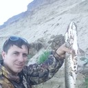 ���������� ���������, ���� ������� ������, 43 ����, ������������ ��� ������, ����� � ���������, c�������� ���������