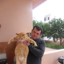 ���������� �����, ���� ������� ������, 45 ���, ������������ ��� ������