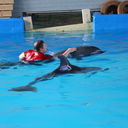  ,   , 44 ,   ,   , c 