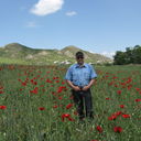  ,   Alik, 65 ,     , c 