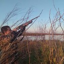 ���������� �����, ���� ������� �������, 37 ���, ������������ ��� ������, ����� � ���������, c�������� ���������