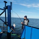 ���������� �����������, ���� ������� ����, 43 ����, ������������ ��� ������, ����� � ���������, c�������� ���������