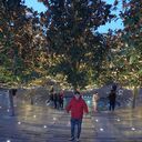 ���������� ���������, ���� ������� ���, 33 ����, ������������ ��� c�������� ���������