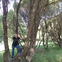  -,   , 49 ,   ,   , c 