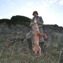 ���������� ������, ���� ������� �������, 61 ���, ������������ ��� ����� � ���������, c�������� ���������