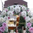  ,   , 45 ,   ,   , c 