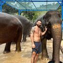 ���������� ���������, ���� ������� �������, 36 ���, ������������ ��� ������, ����� � ���������