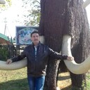  ,   , 63 ,   ,   