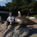 ���������� �����, ���� ������� ������, 40 ���, ������������ ��� ������, ����� � ���������, c�������� ���������