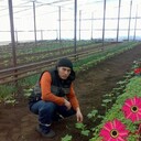 ���������� �����������, ���� ������� �����, 38 ���, ������������ ��� ������, ����� � ���������